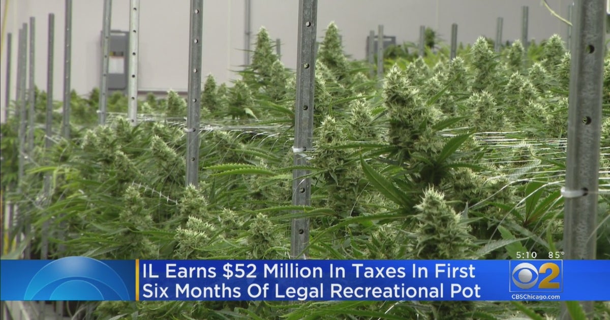Illinois Earns 52 Million in Taxes In First Six Months Of Legal