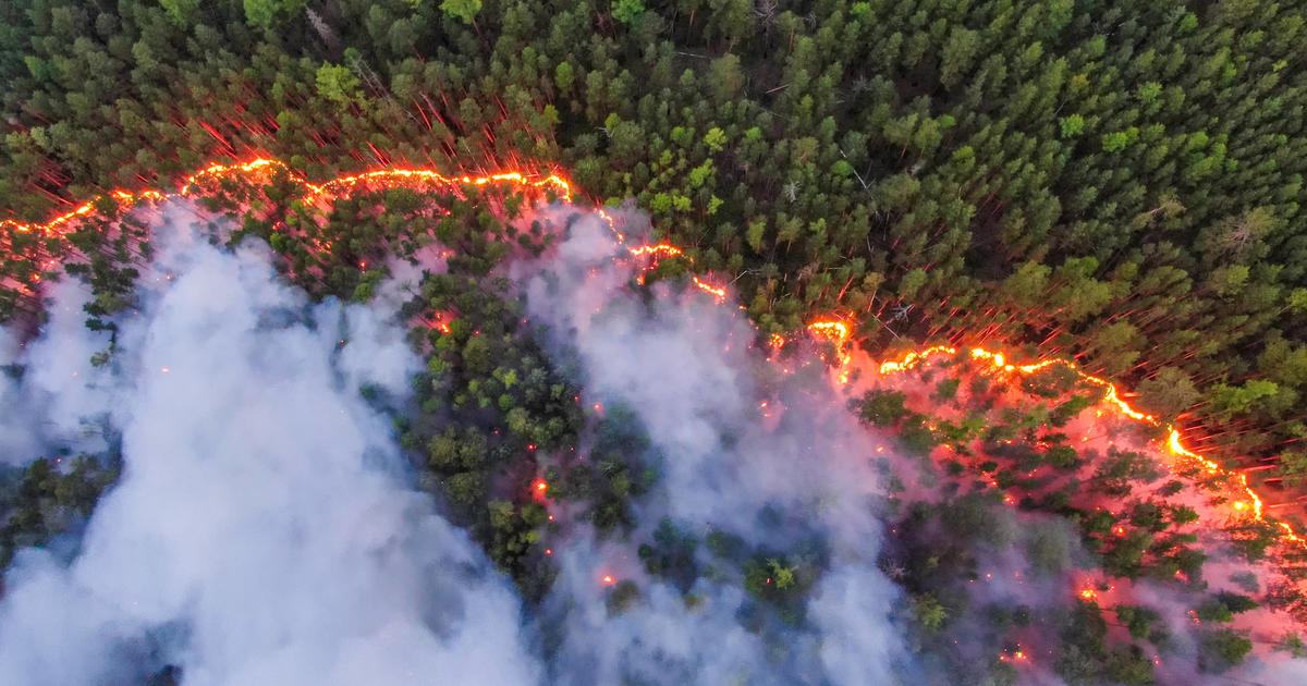 Wildfires in Siberia have burned down an area larger than Greece CBS News