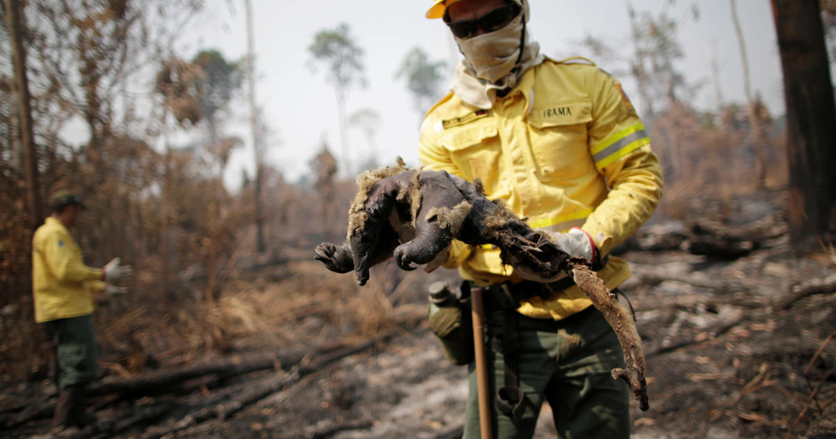 Brazil S Jair Bolsanaro Calls New Amazon Fires A Lie As Videos Show The Rainforest Burning Cbs News