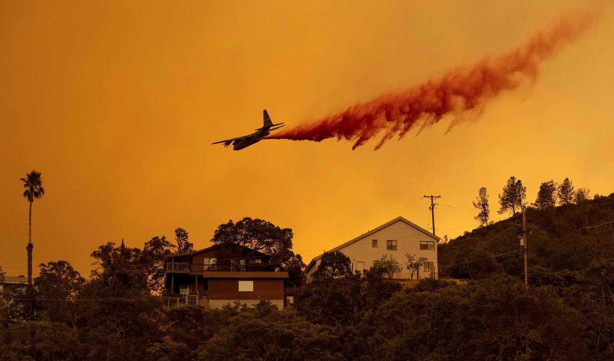 california wildfires essay 2020