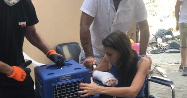 lost dogs reunited with owners compilation