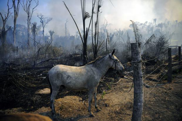 TOPSHOT-BRAZIL-ENVIRONMENT-FIRE 