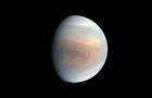 Venus Possible Life 
