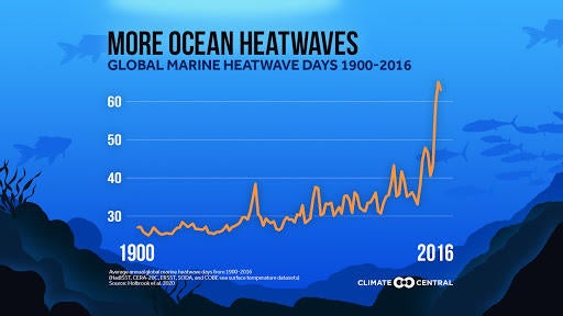 more-ocean-heatwaves.jpg