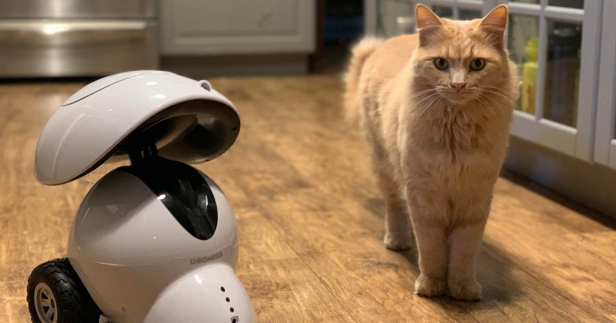 Toys that spy on kids and coffee makers that track your habits