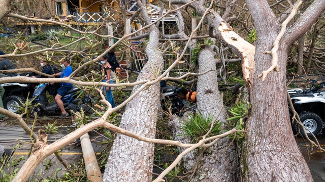 Fallen trees block a street after the passing of Storm Iota, in Providencia 