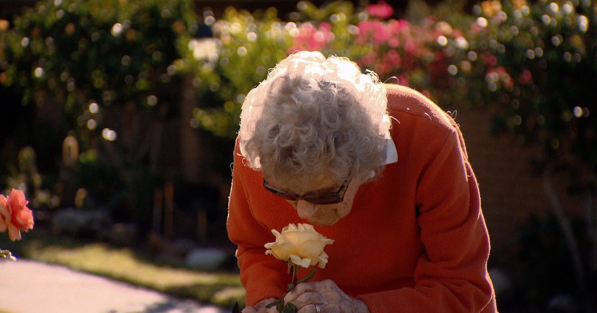 New insights from study of people age 90 and above - Vimarsana News