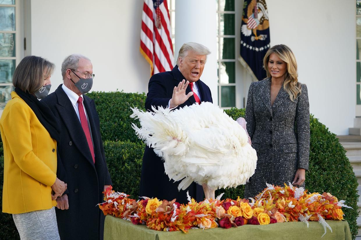 Trump participates in annual turkey pardon as Biden transition formally