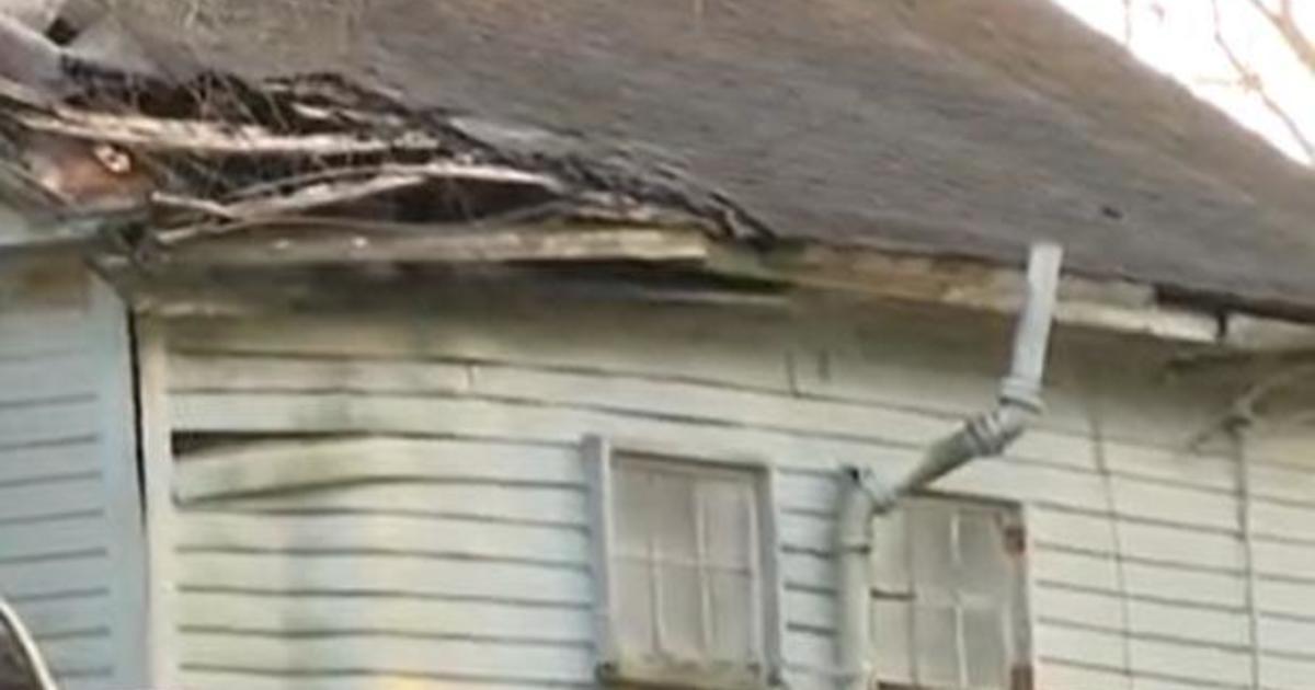 Baby remains found on walls during home renovations in South Carolina