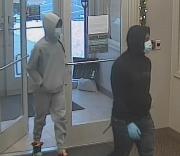 Suburban Bank Robbery Suspects 