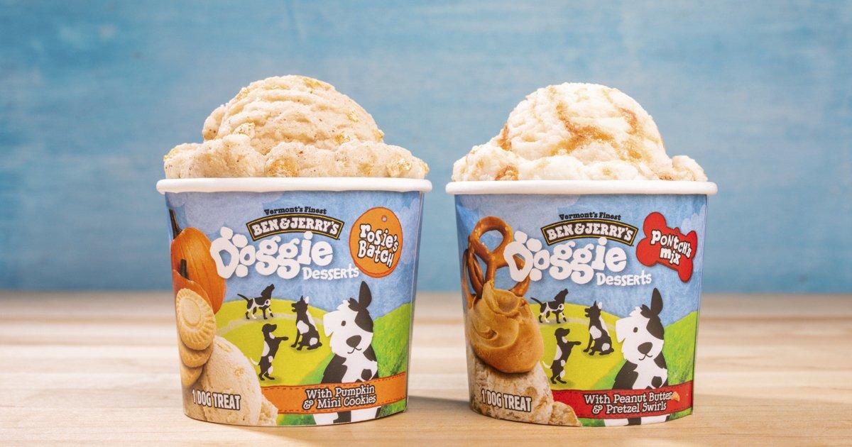 Ben & Jerry's rolls out new line of frozen desserts — for dogs - Vimarsana News