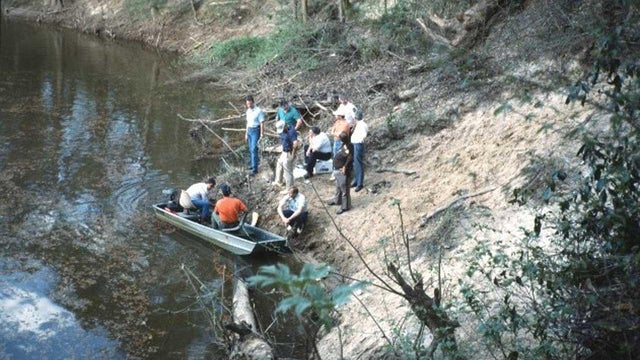 Tracey Harris search 