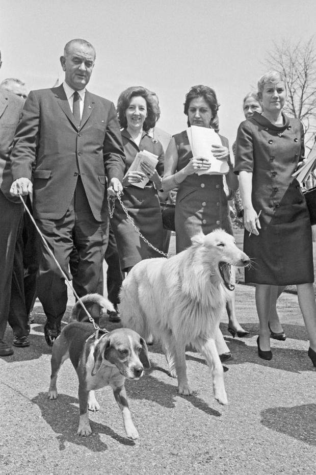 President Johnson Walking Dogs Him and Blanco 