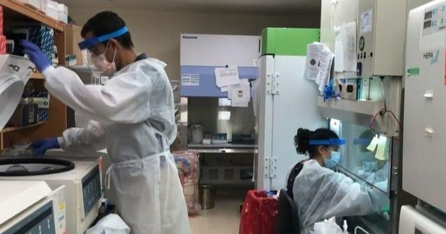 COVID-19 patient offers clues to origin of coronavirus variants