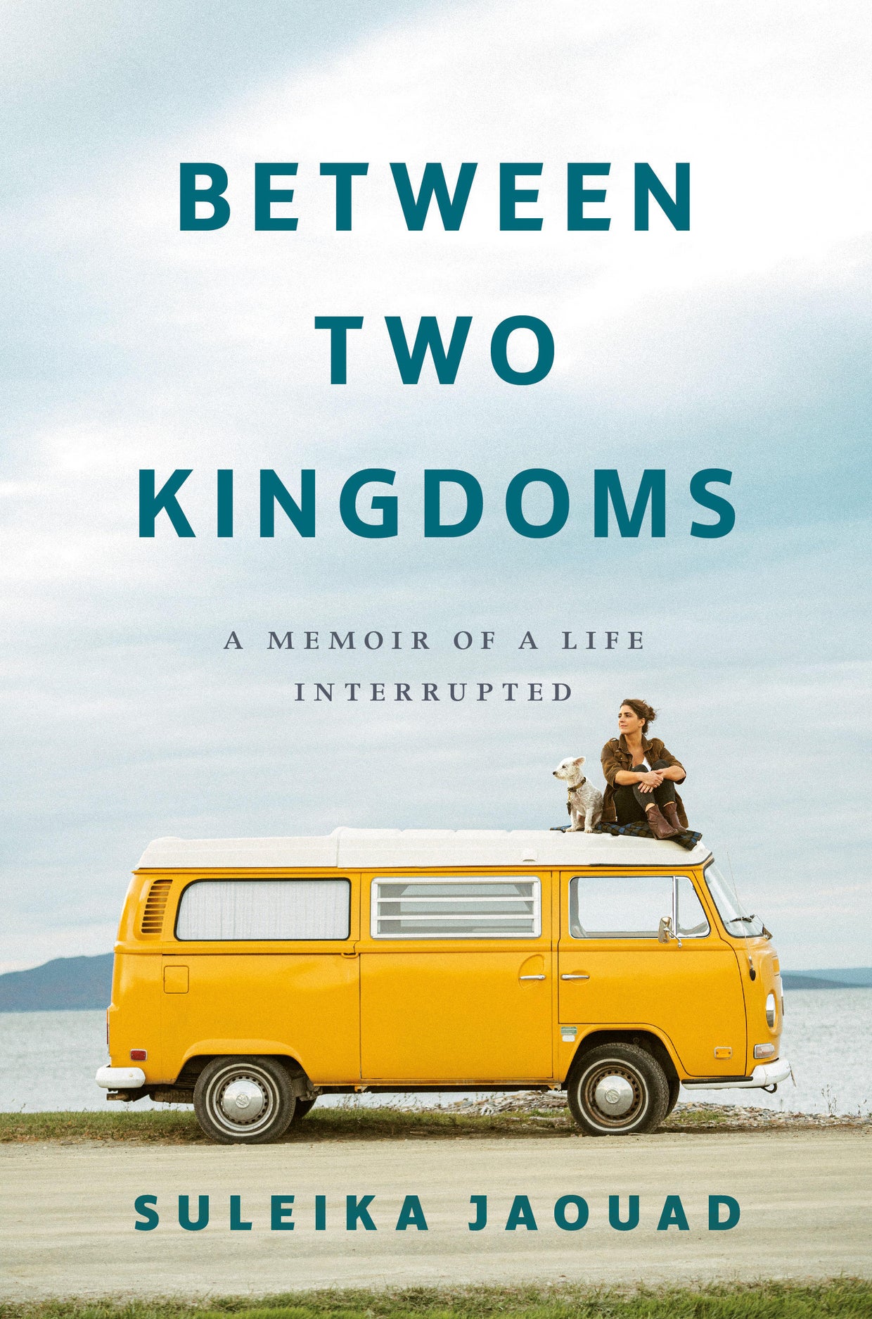 the kingdom of back book the kingdom of back book