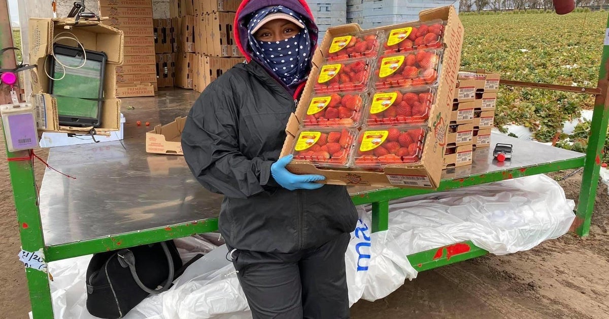 Coachella first U.S. city to offer hero pay for farmworkers