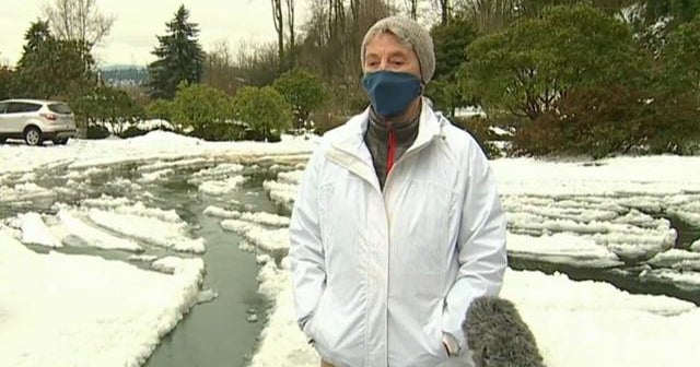 90-year-old braves snow, distance for COVID-19 vaccine