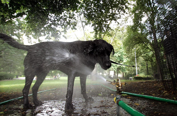 Heat Wave Grips New York City 