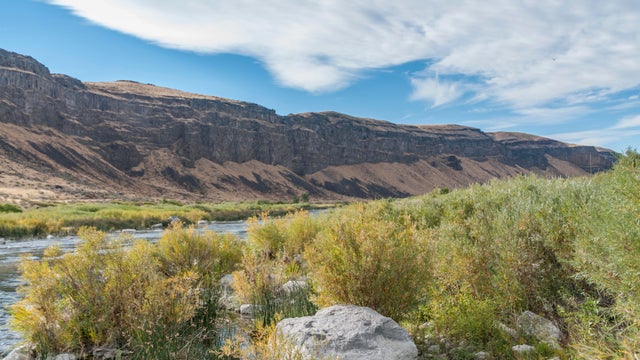 Deep volcanic lava canyon on the Snake River just south of Boise, Idaho. 