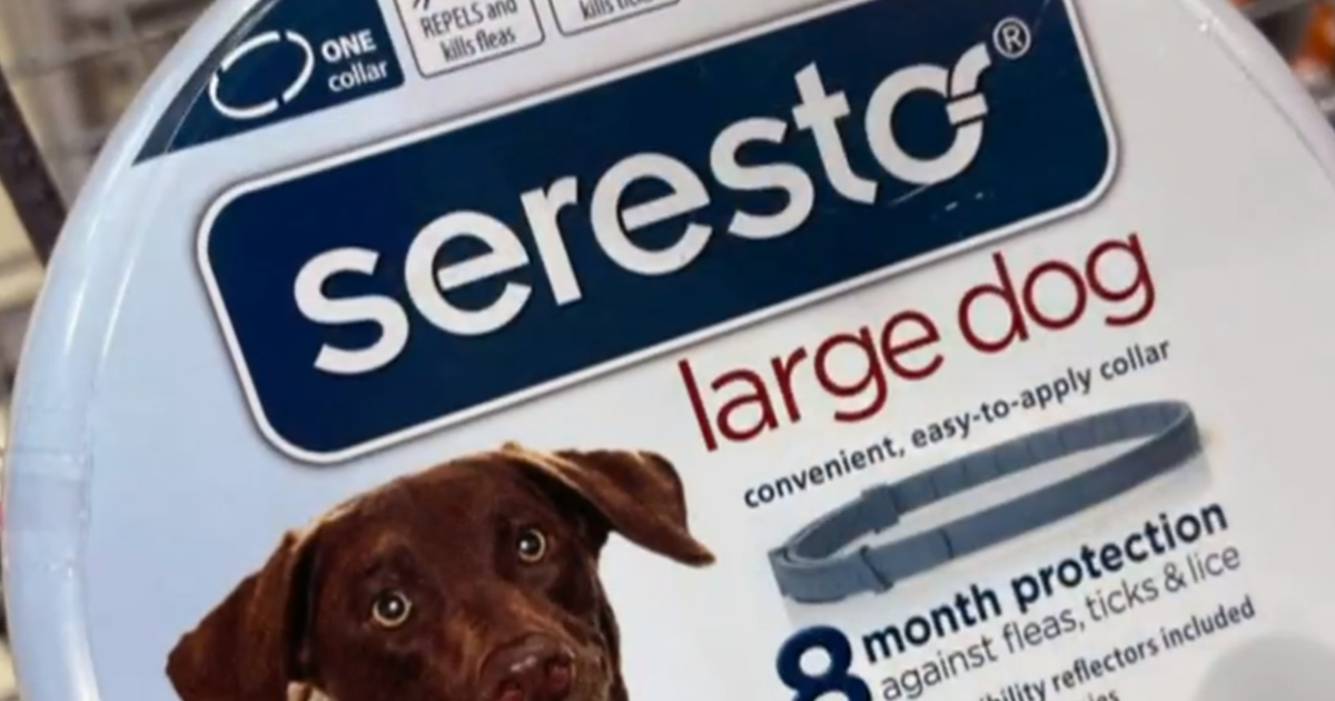 Seresto flea collars may be associated with nearly 1,700 pet deaths