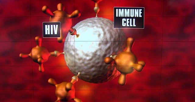 HIV progress: Manipulating genes to reject virus