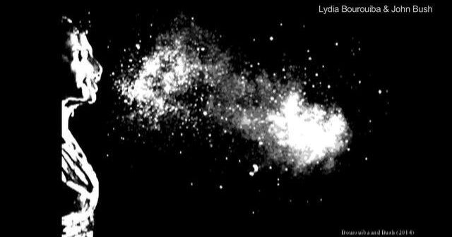 Sneezes travel farther than previously thought