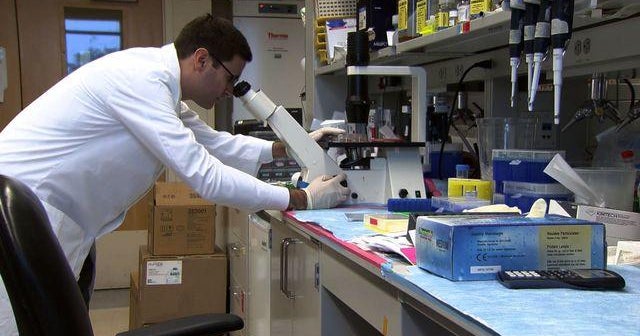 Breakthrough in cervical cancer treatment