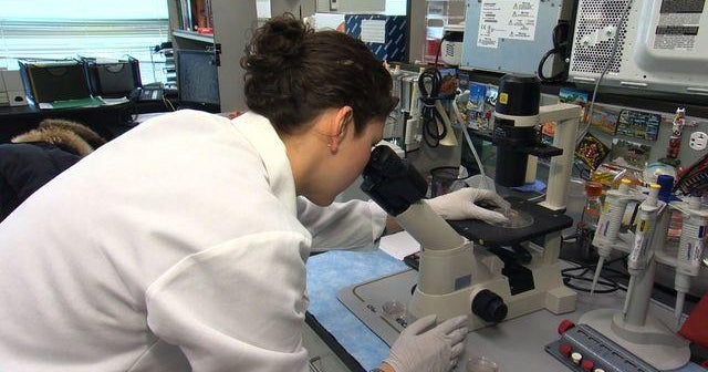 Pancreatic cancer to become second most fatal cancer