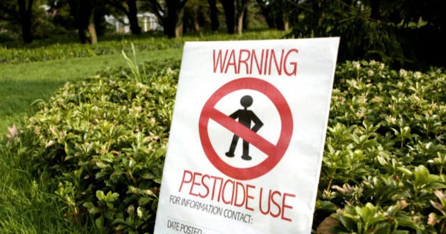 Pesticides help lawns but hurt humans, doctors say
