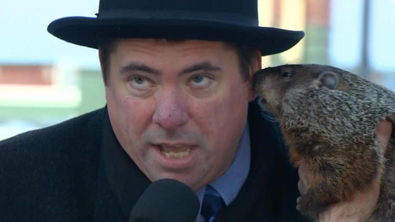 Groundhog Day 2015 Conflicting Forecasts And A Bitten Mayor Cbs News