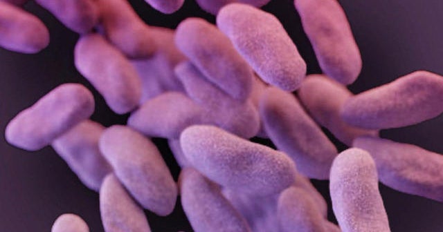Superbugs are ticking timebombs