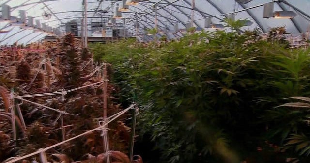 First day of medical marijuana sales in Illinois