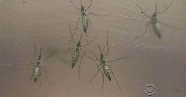 NIH official: Zika outbreak spreading explosively
