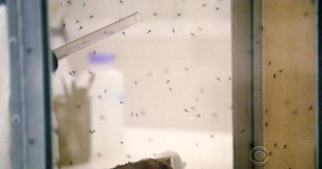 Communities plead for more money to fight Zika