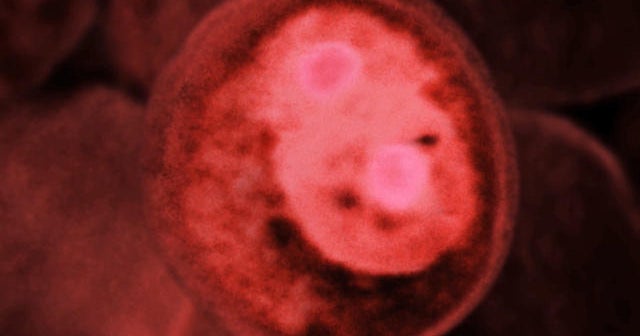 Cancer: Genetics versus genomics