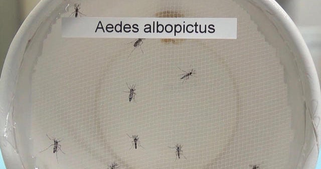CDC: Thousands of people may have arrived in U.S. with Zika