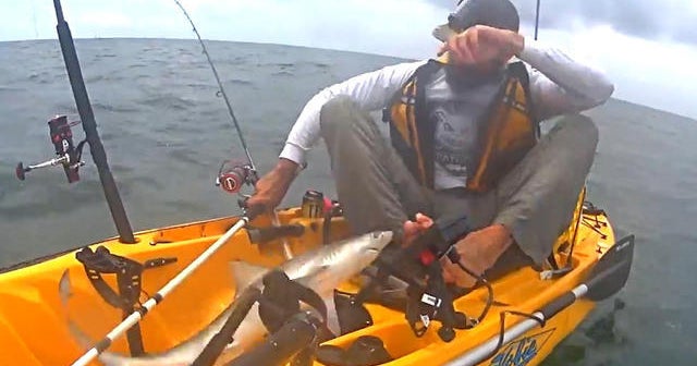 Shark surprises Texas man while fishing