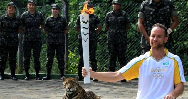 Jaguar killed at Olympic torch event