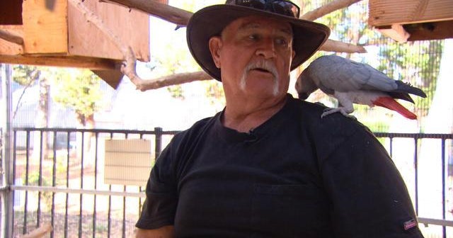 Parrots and veterans heal together