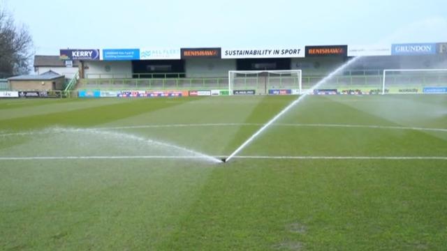 forest green rovers store