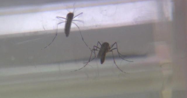 8/26: FDA: All blood donations should be tested for Zika; WWII vet runs 3,000 miles across the U.S. 8/26: FDA: All blood donations should be tested for Zika; WWII vet runs 3,000 miles across the U.S.