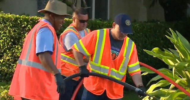 Pregnant women make tough choices as Zika spreads in Florida