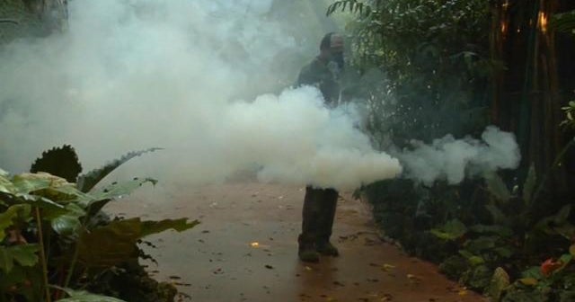 Beachgoers wary of Zika