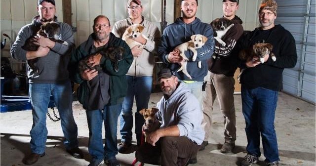 Bachelor party leads to adoption of 7 puppies
