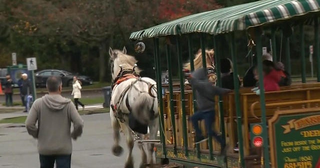 People jump off runaway horse-drawn trolley