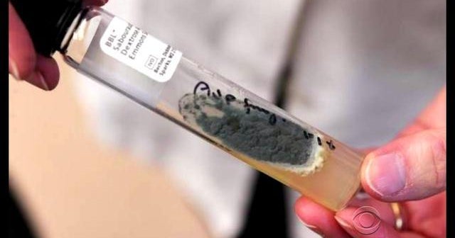 Pharmacy co-owner gets 9 years for role in deadly outbreak