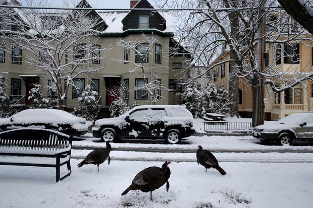 Cambridge, Massachusetts