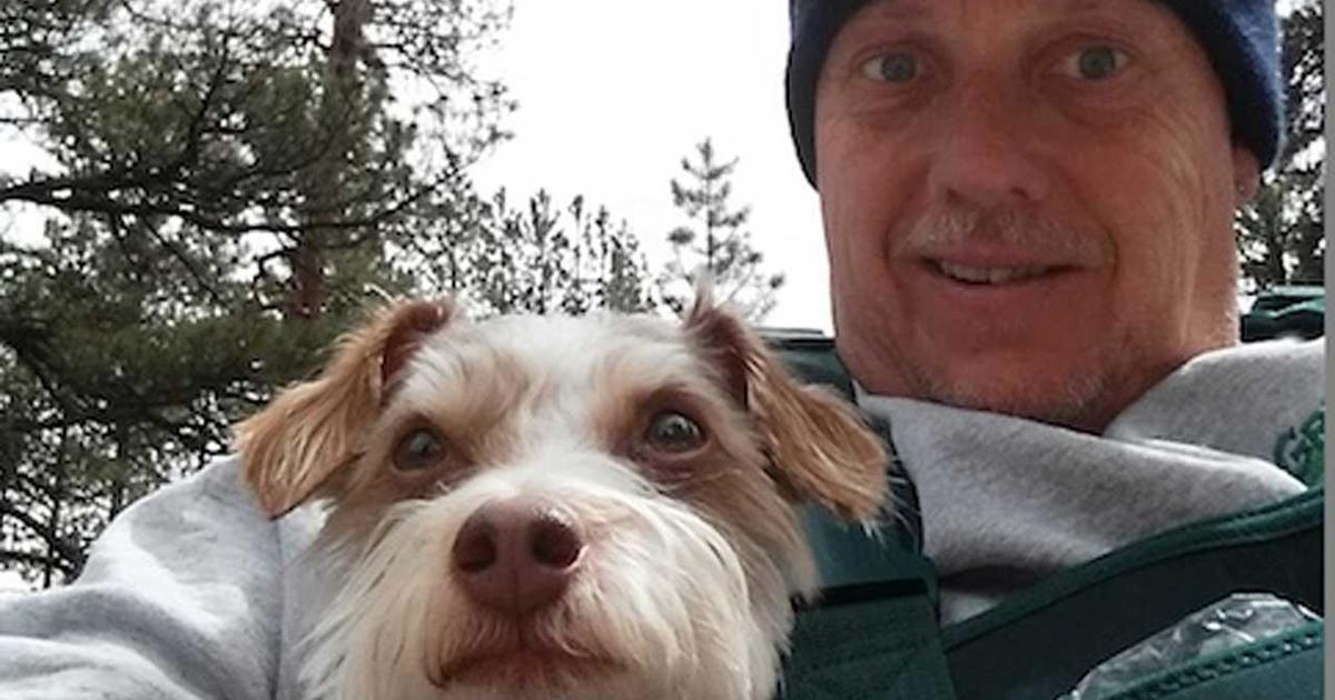 Leo lives! Miracle dog survives after owner dies in Fenn treasure hunt