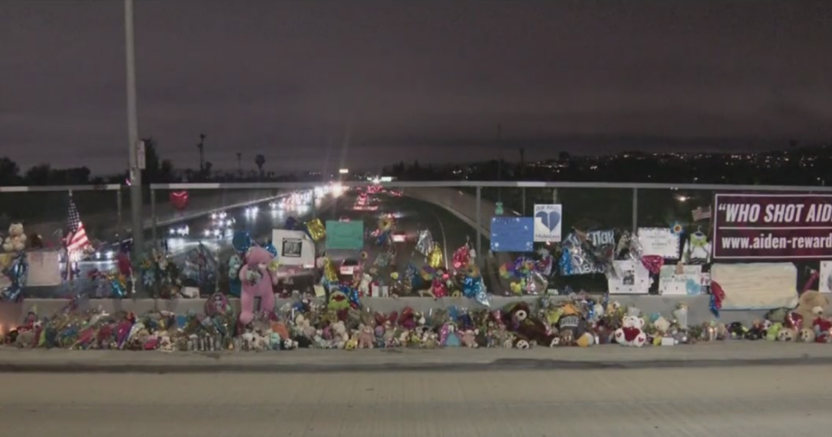 Marcus Eriz, Wynne Lee Arrested In 55 Freeway Shooting Death Of 6-Year ...