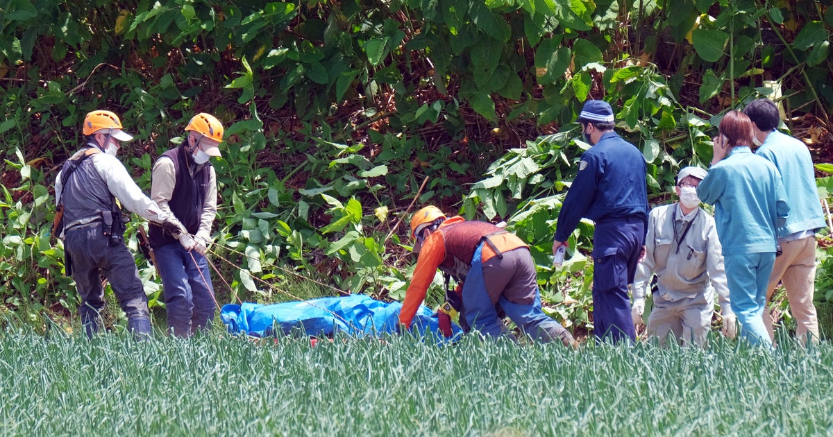 Rampaging bear injures soldier, 3 others before being shot dead